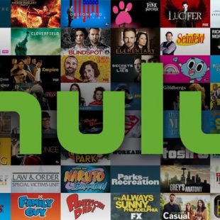 Hulu Upcoming Web Series 2019